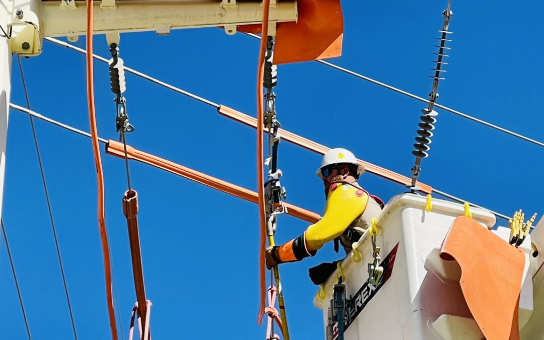 Powerline in Action: Providing Safety and Stability